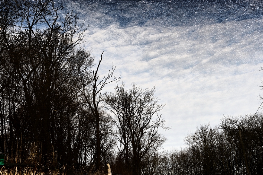 20100102162110_DSC_8825_full.jpg