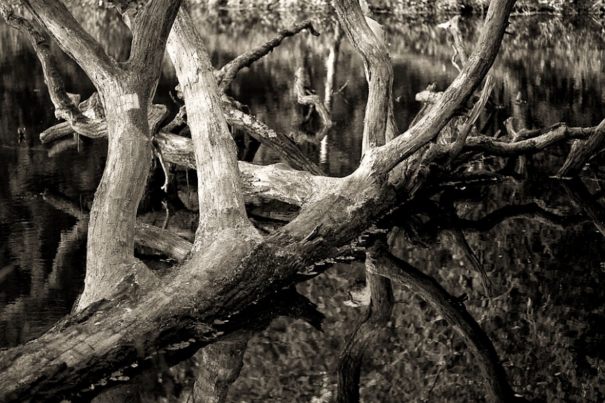 20111014-L1014083-Modifier.jpg