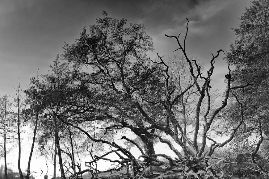 20111119-L1014907.jpg