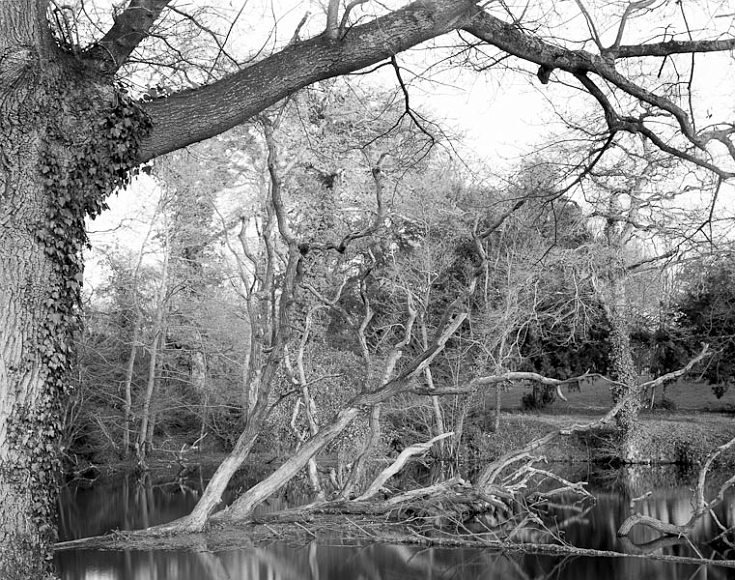 20111219-EPS4500011.jpg