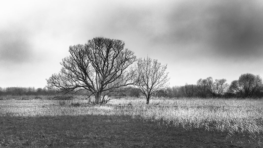 20111231-L1015632.jpg