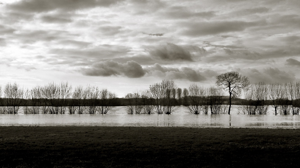 20130101-_DSC1584-Modifier.jpg