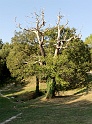 20090912173031_DSC_3758_full