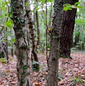 20091011153225_DSC_4665_full