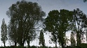 20091024175635_DSC_5560_full