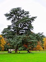 20091116164833_DSC_6748_full