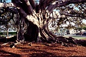 20100110110142_87_full