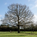 20100117150700_DSC_9091_full