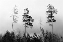 20100416-DSC_2712