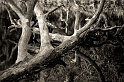 20111014-L1014083-Modifier
