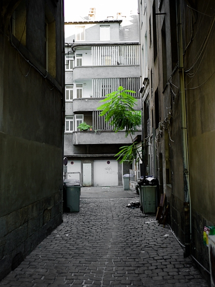 20101017-L1006642.jpg