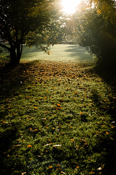 20101101-L1007137.jpg