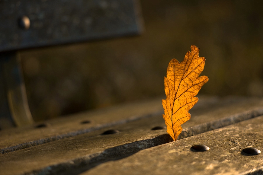 20111014-L1014120.jpg