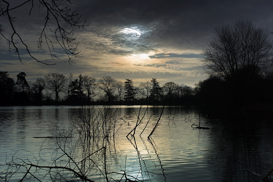 20120122-L1015883.jpg
