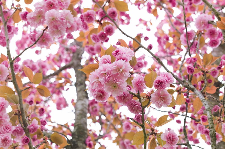 20120409-L1017188.jpg