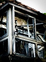 20100905-L1005274