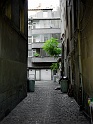 20101017-L1006642