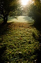 20101101-L1007137