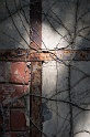 20120617-_DSC1475