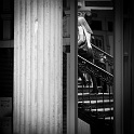 20100726-L1003563