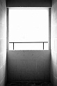 20100814-L1004164