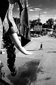 20101017-L1006758
