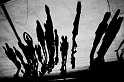 20101017-L1006763