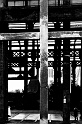 20101114-L1007180