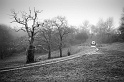 20110116-L1008219