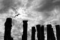 20120506-L1018015