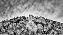20120617-_DSC1524