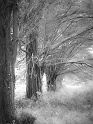 20120805-_DSC4886-Modifier