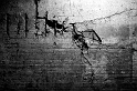 20121209-_DSC0757