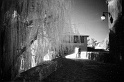 Img20110319_271