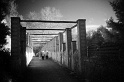 Img20110319_272