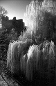 Img20110319_281