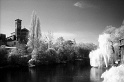 Img20110319_286-2