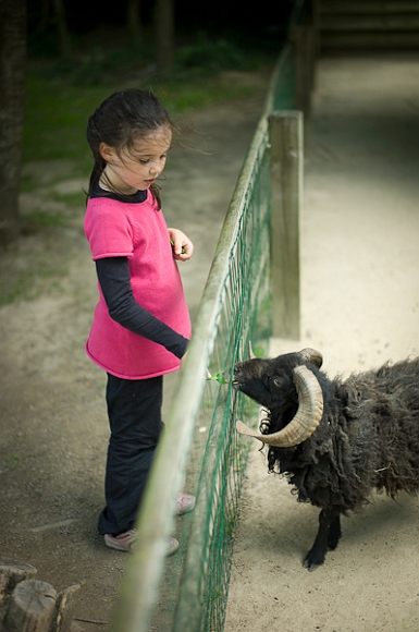 20100620-L1001777.jpg