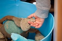 20120305-DSC_5280