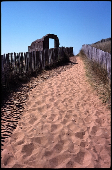 20100110224527_60_full.jpg