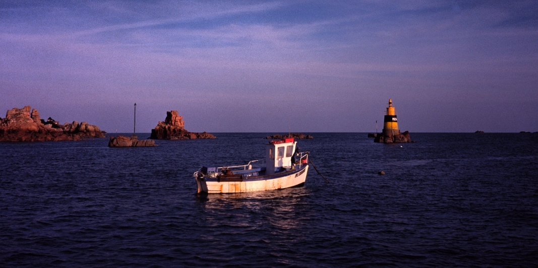 20100110243005_43_full.jpg