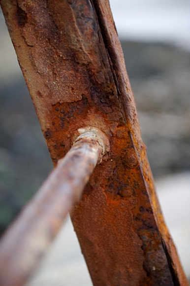 20100124151651_DSC_9266_full.jpg