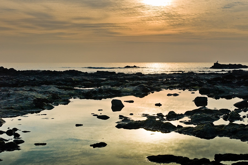 20120212-L1016318.jpg