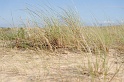 20090704164132_DSC_9490_full