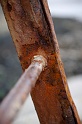 20100124151651_DSC_9266_full