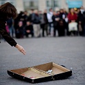 20091107172448_DSC_6276_full