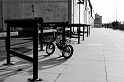 20091122154112_DSC_6920_full