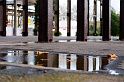 20091122162647_DSC_6985_full