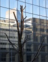 20100219171932_IMG_0680_full