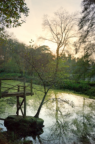 20111120-L1015082-v1.jpg